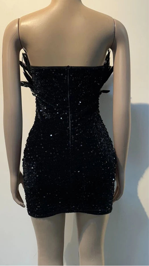 The Luxe Mini Dress Feather Fantasy Mini Dress