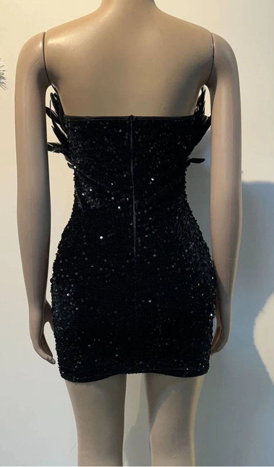 The Luxe Mini Dress Feather Fantasy Mini Dress