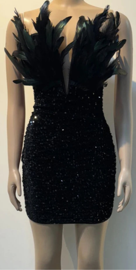 The Luxe Mini Dress Feather Fantasy Mini Dress